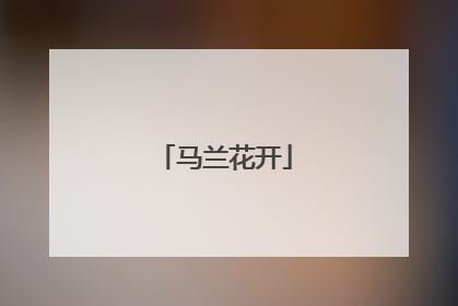 马兰花开