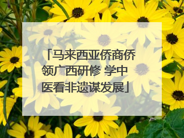 马来西亚侨商侨领广西研修 学中医看非遗谋发展
