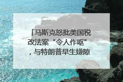 马斯克怒批美国税改法案“令人作呕”，与特朗普早生嫌隙？｜国际识局