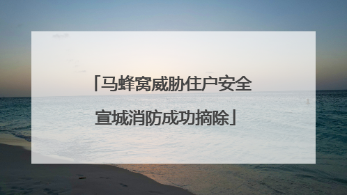 马蜂窝威胁住户安全 宣城消防成功摘除