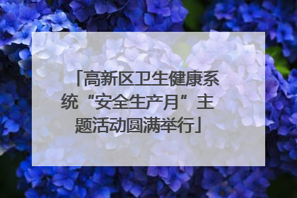 高新区卫生健康系统“安全生产月”主题活动圆满举行