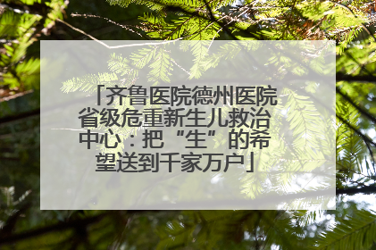 齐鲁医院德州医院省级危重新生儿救治中心：把“生”的希望送到千家万户