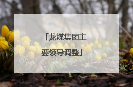龙煤集团主要领导调整
