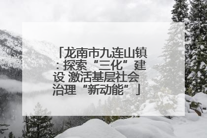 龙南市九连山镇：探索“三化”建设 激活基层社会治理“新动能”