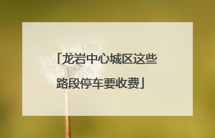龙岩中心城区这些路段停车要收费