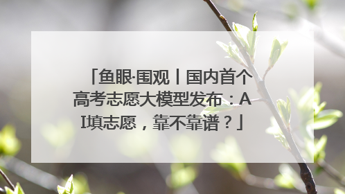 鱼眼·围观丨国内首个高考志愿大模型发布：AI填志愿，靠不靠谱？
