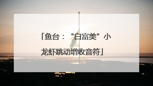 鱼台：“白富美”小龙虾跳动增收音符