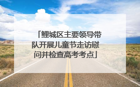 鲤城区主要领导带队开展儿童节走访慰问并检查高考考点
