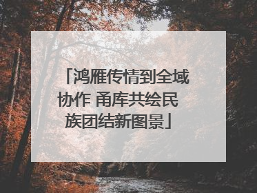 鸿雁传情到全域协作 甬库共绘民族团结新图景
