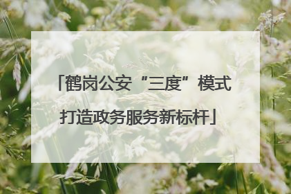 鹤岗公安“三度”模式 打造政务服务新标杆