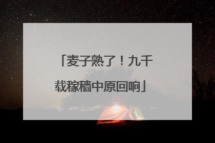 麦子熟了！九千载稼穑中原回响