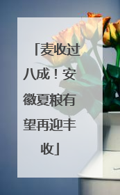麦收过八成！安徽夏粮有望再迎丰收