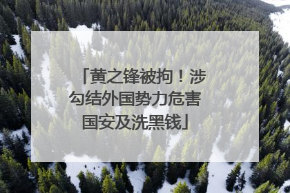 黄之锋被拘！涉勾结外国势力危害国安及洗黑钱