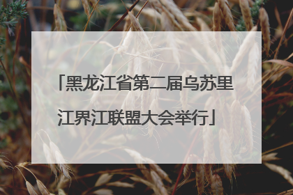 黑龙江省第二届乌苏里江界江联盟大会举行