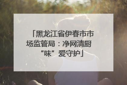 黑龙江省伊春市市场监管局：净网清厨 “味”爱守护