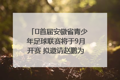 ﻿首届安徽省青少年足球联赛将于9月开赛 拟邀请赵鹏为先导赛开球