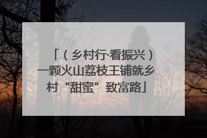 （乡村行·看振兴）一颗火山荔枝王铺就乡村“甜蜜”致富路