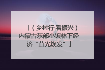 （乡村行·看振兴）内蒙古东部小镇林下经济“茸光焕发”