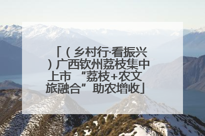 （乡村行·看振兴）广西钦州荔枝集中上市 “荔枝+农文旅融合”助农增收