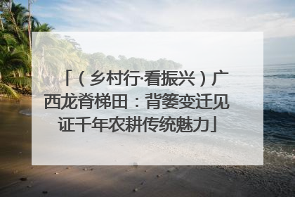 （乡村行·看振兴）广西龙脊梯田：背篓变迁见证千年农耕传统魅力