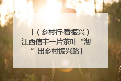 （乡村行·看振兴）江西信丰一片茶叶“沏”出乡村振兴路