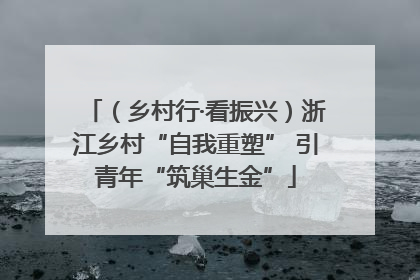 （乡村行·看振兴）浙江乡村“自我重塑” 引青年“筑巢生金”
