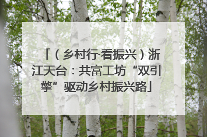 （乡村行·看振兴）浙江天台：共富工坊“双引擎”驱动乡村振兴路