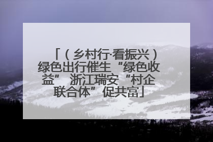 （乡村行·看振兴）绿色出行催生“绿色收益” 浙江瑞安“村企联合体”促共富