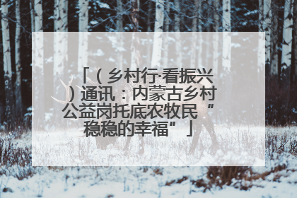 （乡村行·看振兴）通讯：内蒙古乡村公益岗托底农牧民“稳稳的幸福”