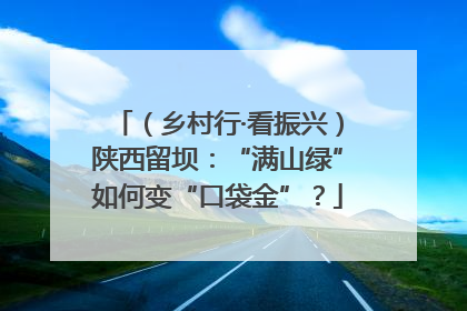 （乡村行·看振兴）陕西留坝：“满山绿”如何变“口袋金”？