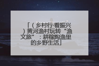 （乡村行·看振兴）黄河渔村玩转“渔文旅”：耕稼陶渔里的乡野生活