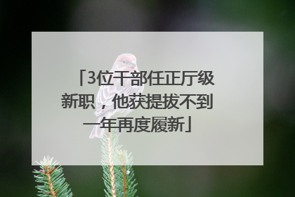 3位干部任正厅级新职，他获提拔不到一年再度履新