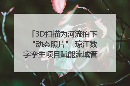3D扫描为河流拍下“动态照片” 琼江数字孪生项目赋能流域管理｜新闻发布最前线