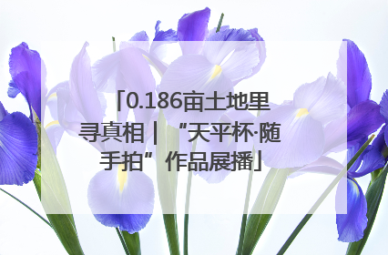 0.186亩土地里寻真相｜“天平杯·随手拍”作品展播