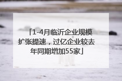 1-4月临沂企业规模扩张提速，过亿企业较去年同期增加55家