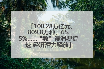 100.28万亿元、809.8万种、65.5%……“数”读消费提速 经济潜力释放