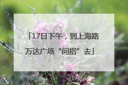 17日下午，到上海路万达广场“问招”去