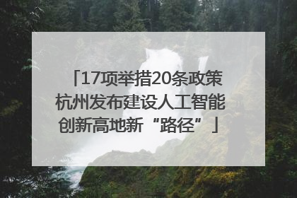 17项举措20条政策 杭州发布建设人工智能创新高地新“路径”