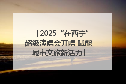 2025“在西宁”超级演唱会开唱 赋能城市文旅新活力