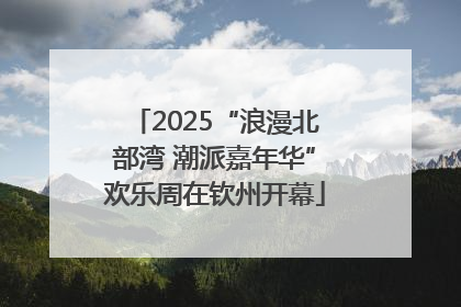2025“浪漫北部湾 潮派嘉年华”欢乐周在钦州开幕