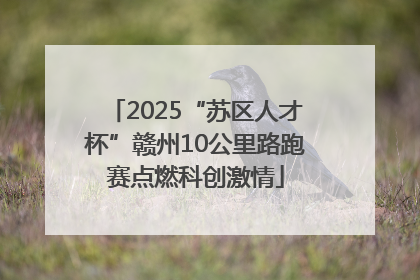2025“苏区人才杯”赣州10公里路跑赛点燃科创激情