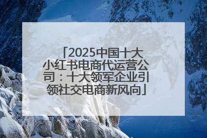 2025中国十大小红书电商代运营公司：十大领军企业引领社交电商新风向