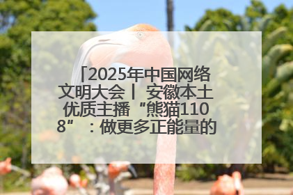 2025年中国网络文明大会丨 安徽本土优质主播“熊猫1108”：做更多正能量的事情 带给大家快乐