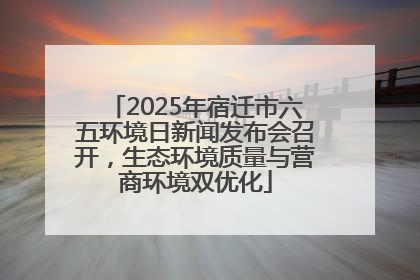 2025年宿迁市六五环境日新闻发布会召开，生态环境质量与营商环境双优化