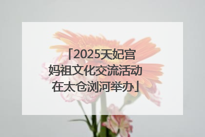 2025天妃宫妈祖文化交流活动在太仓浏河举办