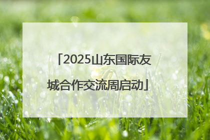 2025山东国际友城合作交流周启动