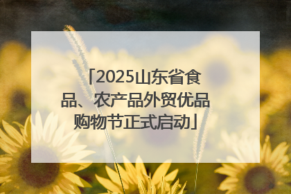 2025山东省食品、农产品外贸优品购物节正式启动