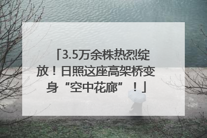 3.5万余株热烈绽放！日照这座高架桥变身“空中花廊”！