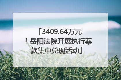 3409.64万元！岳阳法院开展执行案款集中兑现活动