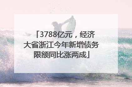 3788亿元，经济大省浙江今年新增债务限额同比涨两成